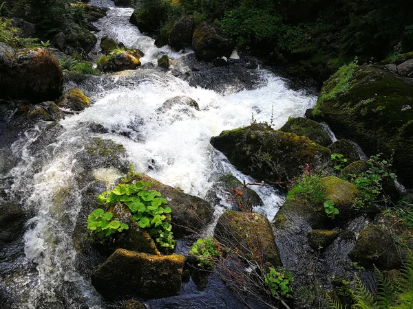 Paesaggio Naturale Una Piccola Cascata Nella Foresta — Foto Stock