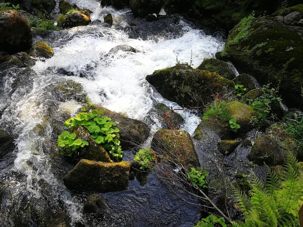 Přírodní Krajina Malého Vodopádu Lese — Stock fotografie
