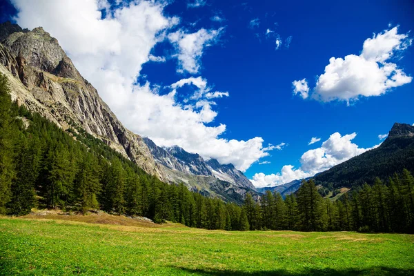 Una Hermosa Toma Los Alpes Contra Cielo Azul Nublado Rodeado — Foto de Stock