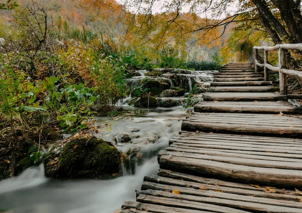 Eine Schmale Holzbrücke Über Den See Berühmten Nationalpark Plitvicer Seen — Stockfoto