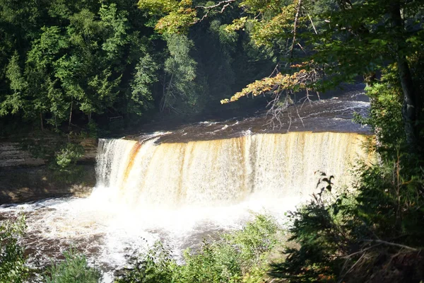 Tahquamenon Falls State Park Timberlost Usa — Stockfoto