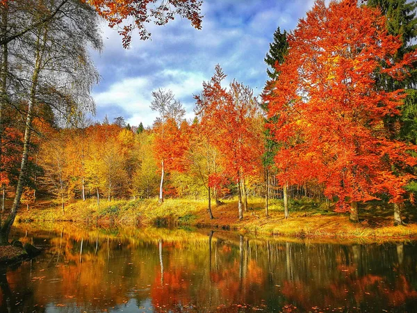 Озеро Деревами Задньому Плані Восени — стокове фото