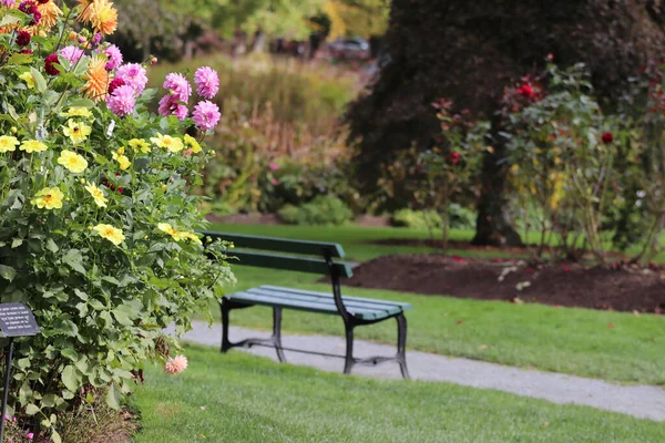 Empty Bench Park Halifax Colorful Flowers Bushes Sunny Day — Stockfoto