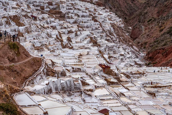 Una Hermosa Toma Las Terrazas Sal Maras Perú —  Fotos de Stock