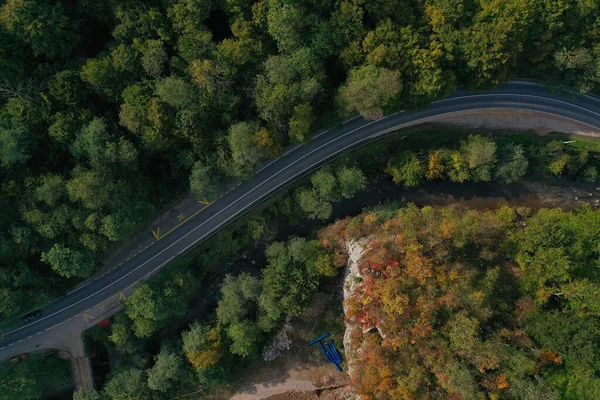Aerial View Curved Road Autumnal Forest — стоковое фото