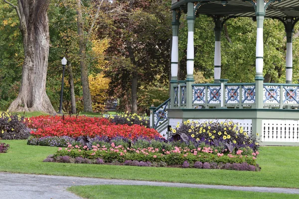 Beautiful Flowers Bushes Gardens Halifax Canada — Stock Photo, Image