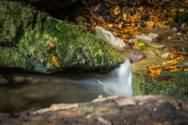 Beautiful Shot Waterfall Rocks Autumn Leaves — стоковое фото