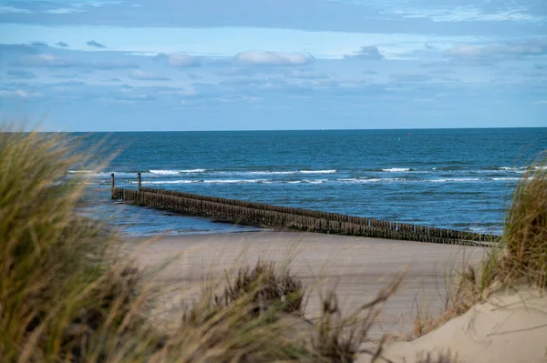 North Sea Domburg Beach Zeeland Netherlands — Photo