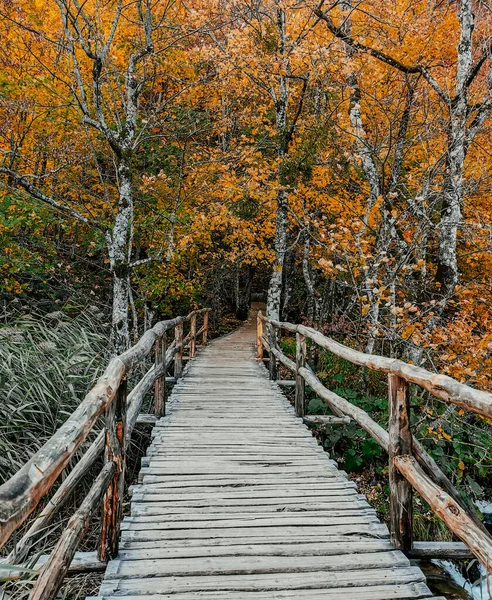 Narrow Wooden Footbridge Lake Famous Plitvice Lakes National Park Croatia — Stock Photo, Image