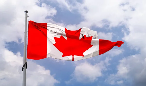 Una Bandera Canadiense Ondeando Poste Cielo Azul — Foto de Stock