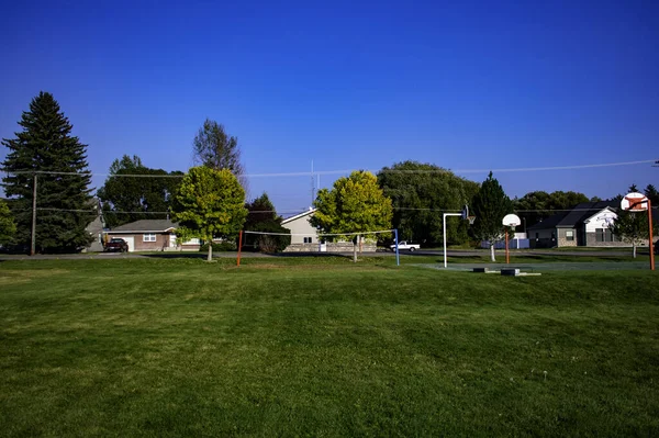 Beautiful Shot Field Day Clear Skies — Stockfoto