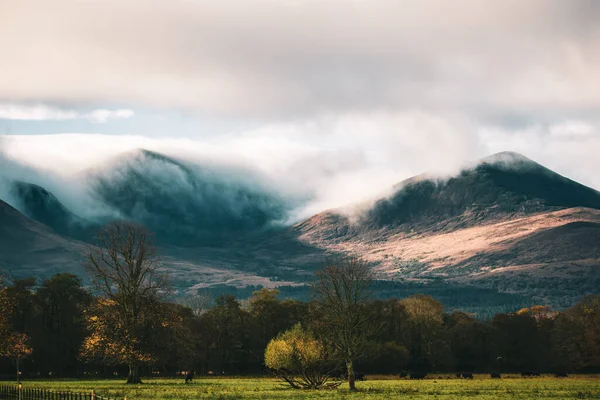 Les Collines Brumeuses Couvertes Verdure Matin — Photo