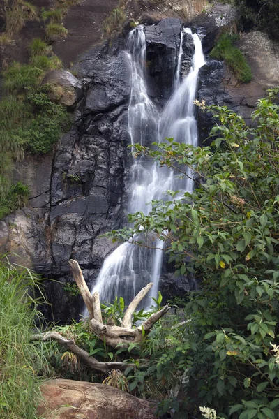 Vertical Shot Bubbling Bambarakanda Waterfall Sri Lanka — Stok Foto