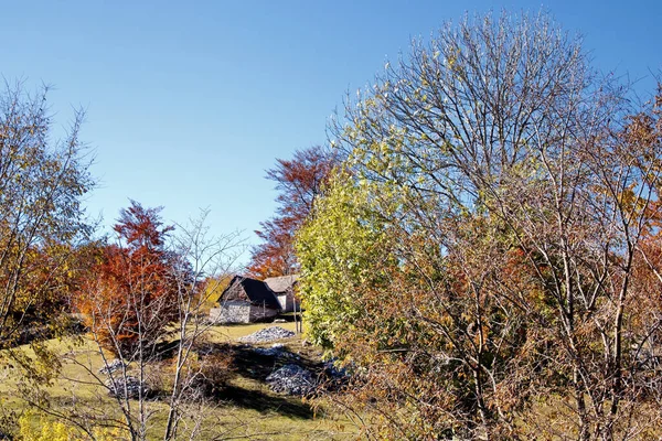 Small Rural House Autumn Forest — Zdjęcie stockowe