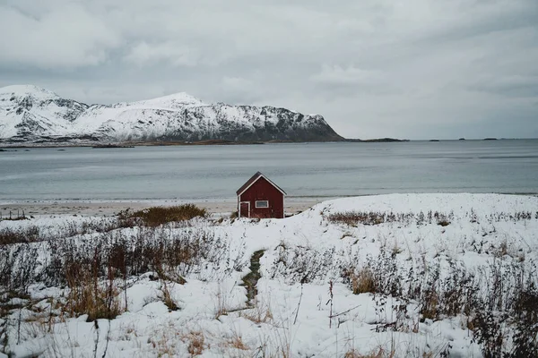 Uma Visão Nebulosa Inverno Das Ilhas Lofoten Noruega — Fotografia de Stock