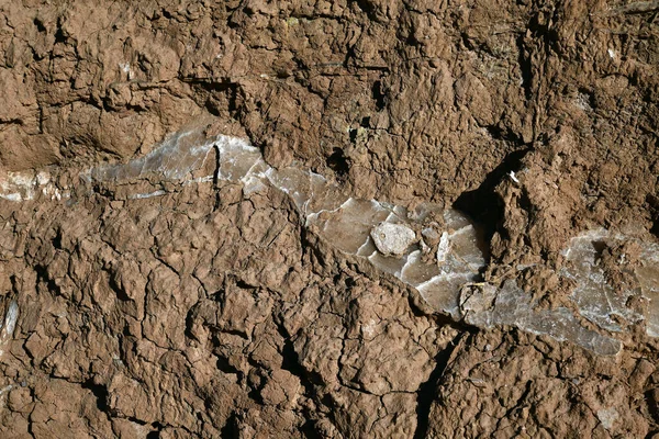 Textura Uma Rocha Áspera Deserto Atacama Norte Chile — Fotografia de Stock
