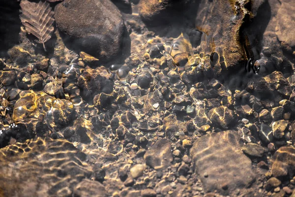 Μια Κορυφαία Άποψη Των Λίθων Στο Νερό Στον Ήλιο — Φωτογραφία Αρχείου