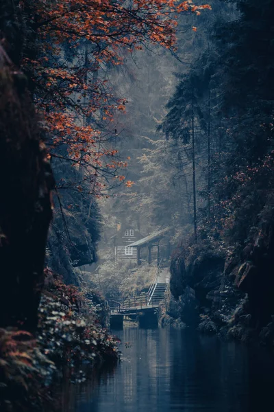 Vertical Shot Lake Forest Foggy Autumn Day — Stockfoto