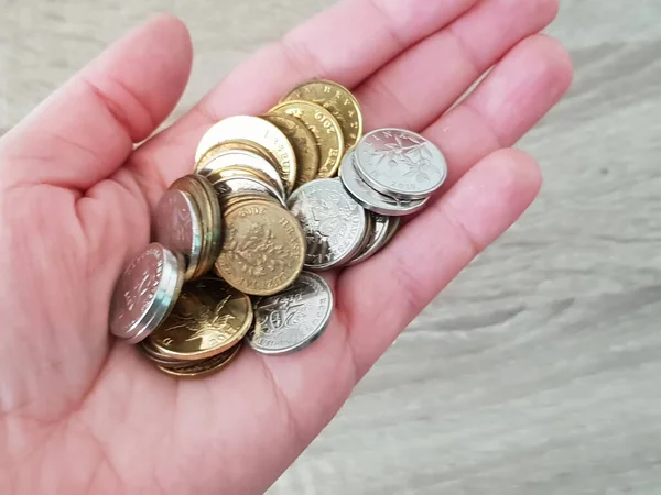 Closeup Shot Palm Holding Coins — Zdjęcie stockowe