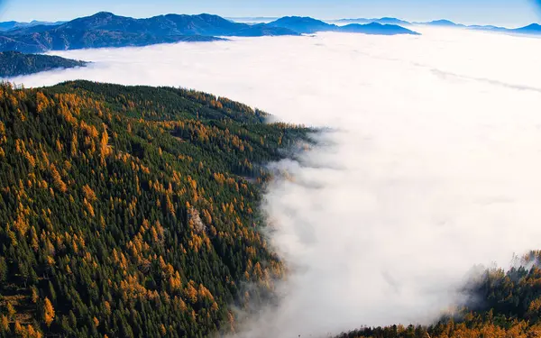 Scenic Shot Sea Fog High Mountains — Stockfoto