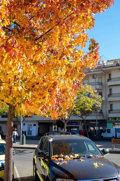 Plasencia Espanha Novembro 2021 Paisagem Urbana Outono Carro Coberto Com — Fotografia de Stock