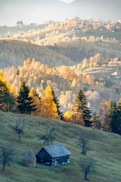 Vertical Shot Hill Covered Tres Autumn — Fotografie, imagine de stoc