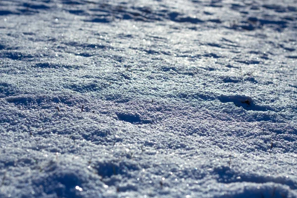 Closeup Shot Snow Daytime — Stockfoto