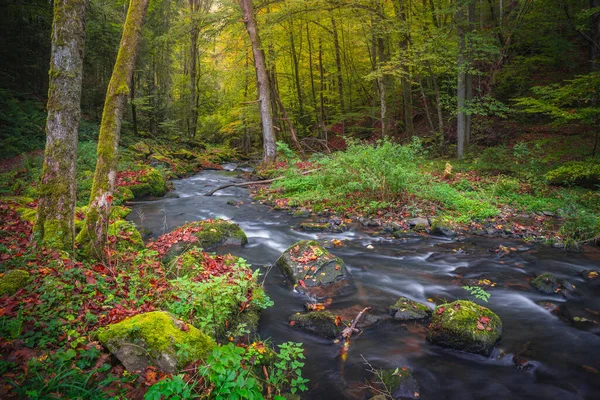 美しいハイキング先 Perlbachtalの秋の森 Nature Und Erlebnispfad Perlbachtal — ストック写真