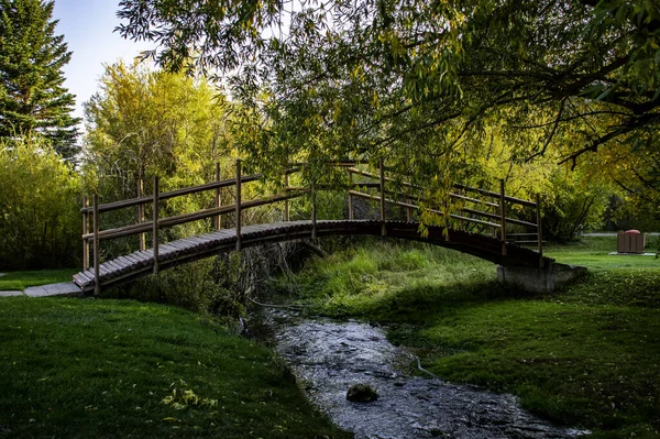 Beautiful Shot Bridge Lake Forest Day — Foto de Stock