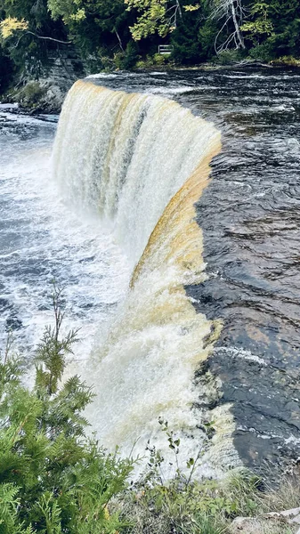 Tahquamenon Falls State Park Timberlost Usa — Φωτογραφία Αρχείου