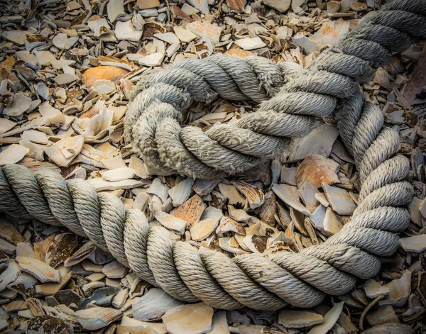 Schöne Aufnahme Eines Dicken Seils Umgeben Von Muscheln — Stockfoto