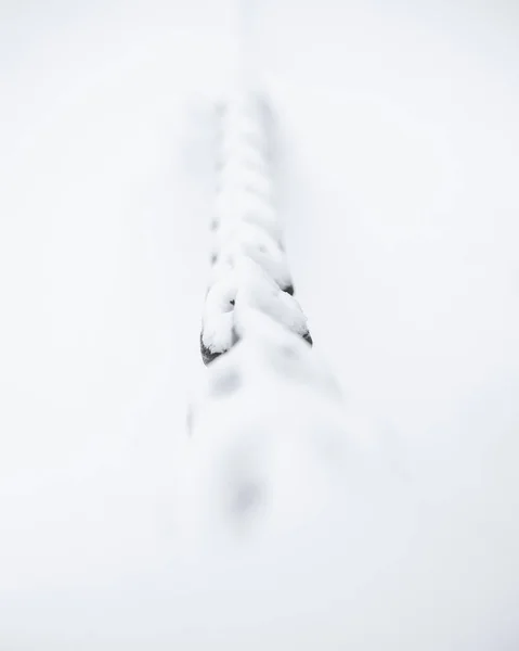 Vertical Shot Chain Covered Snow — 스톡 사진