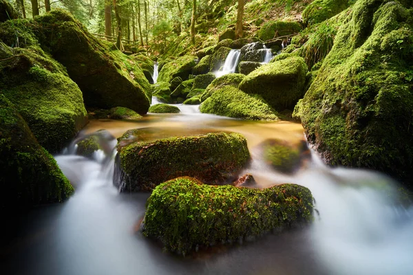 Beautiful Shot Stream Black Forest Moss Stones — Stock Fotó