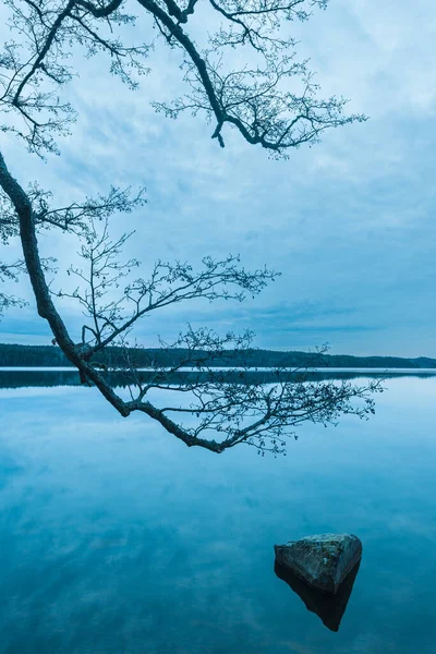 Вертикальный Снимок Ветвей Деревьев Камнем Озере Швеция — стоковое фото