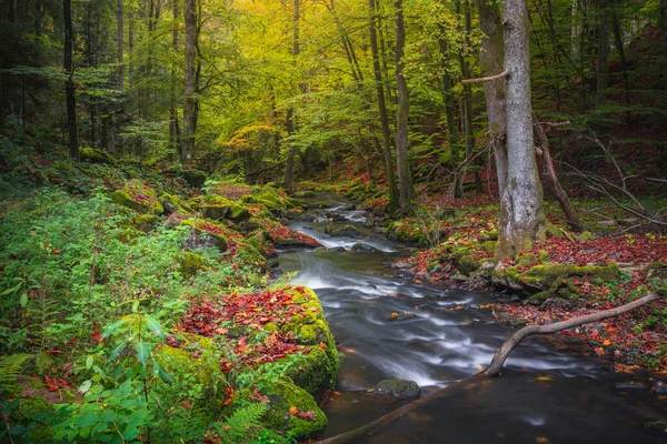 Прекрасное Туристическое Место Осенний Лес Перлбахтале Натурально Ниспадающий Перлфеталь — стоковое фото
