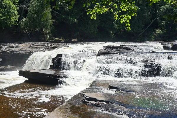 Tahquamenon Falls State Park Timberlost Usa — ストック写真