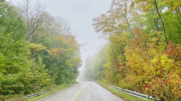 Порожня Асфальтована Дорога Облицьована Барвистими Деревами Восени — стокове фото