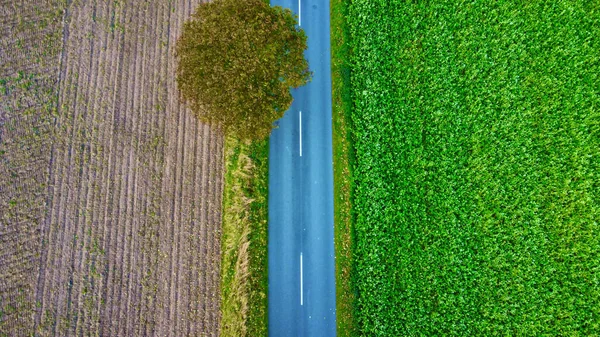 Aerial View Roa Leading Agricultural Fields — ストック写真