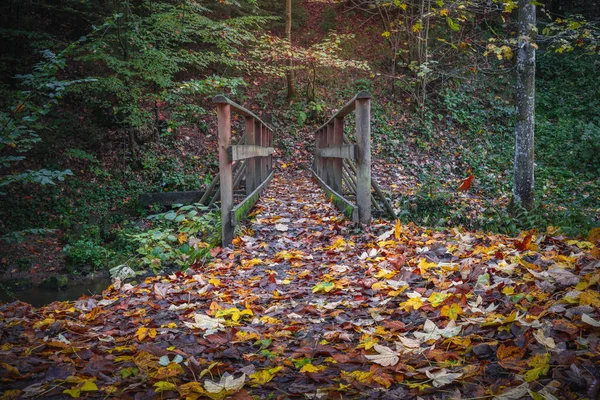 Beautiful Hiking Destination Autumn Forest Perlbachtal Natur Und Erlebnispfad Perlbachtal — Stock Photo, Image