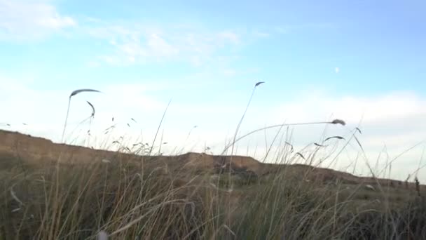 Arid Landscape Desert Bardenas Reales — Vídeo de Stock