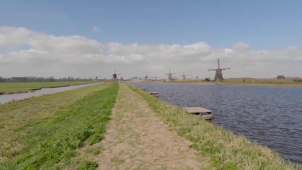 Windmühlen Wassernähe Der Niederländischen Landschaft — Stockvideo