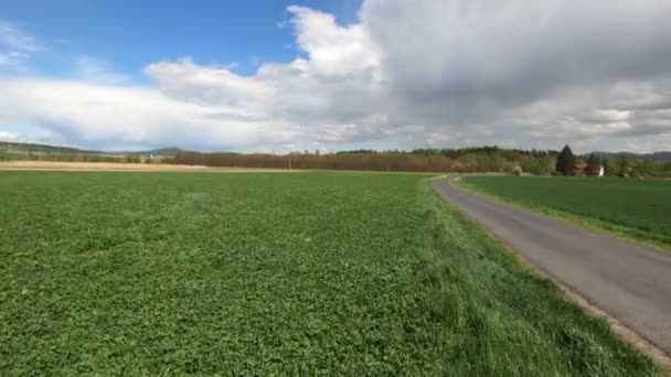 Зелене Поле Великою Кількістю Білих Хмар — стокове відео