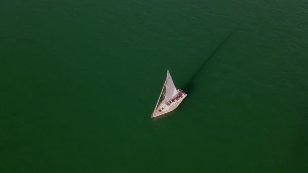 Primer Plano Barco Sobre Fondo Verde — Vídeo de stock