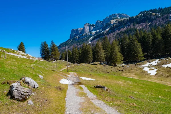 Sentier Mène Forêt Wasserauen Appenzell Suisse — Photo