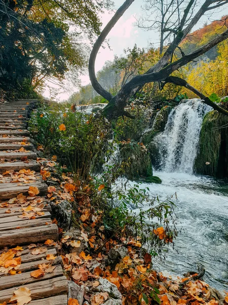 Beautiful Waterfall Wooden Stairs Famous Plitvice Lakes National Park Croatia — стоковое фото