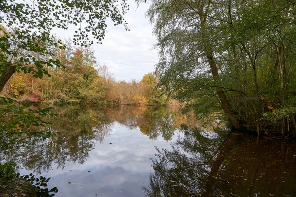 Ein Schöner Blick Auf Einen See Und Herbstbäume Auf Einem — Stockfoto