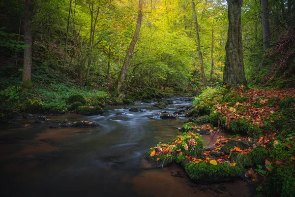 美しいハイキング先 Perlbachtalの秋の森 Nature Und Erlebnispfad Perlbachtal — ストック写真