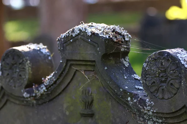 Closeup Ancient Gravestone Covered Moss Spiderwebs Cemetery Blurred Background — стоковое фото