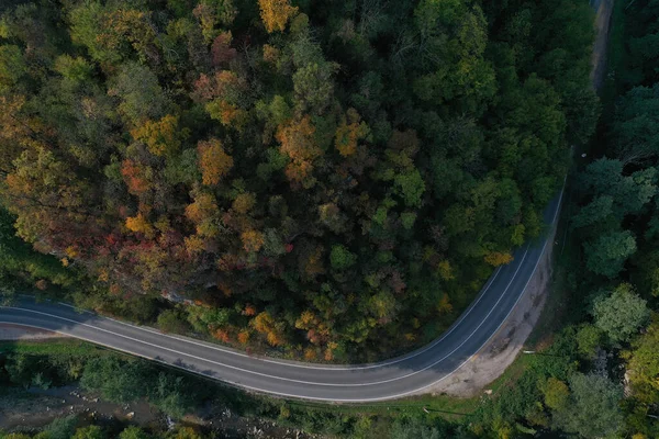 Aerial View Curved Road Autumnal Forest — стоковое фото