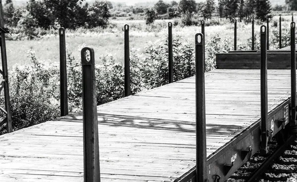 Grayscale Shot Poles Wooden Pier — ストック写真
